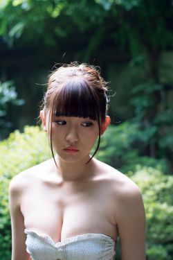 烈火军校电视剧免费观看全集