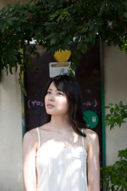 sunflower动漫免费看